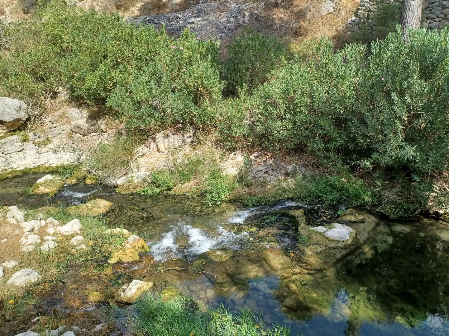 Maison avec jardin à vendre à Sant Josep - Zona Hospital, imagen 15