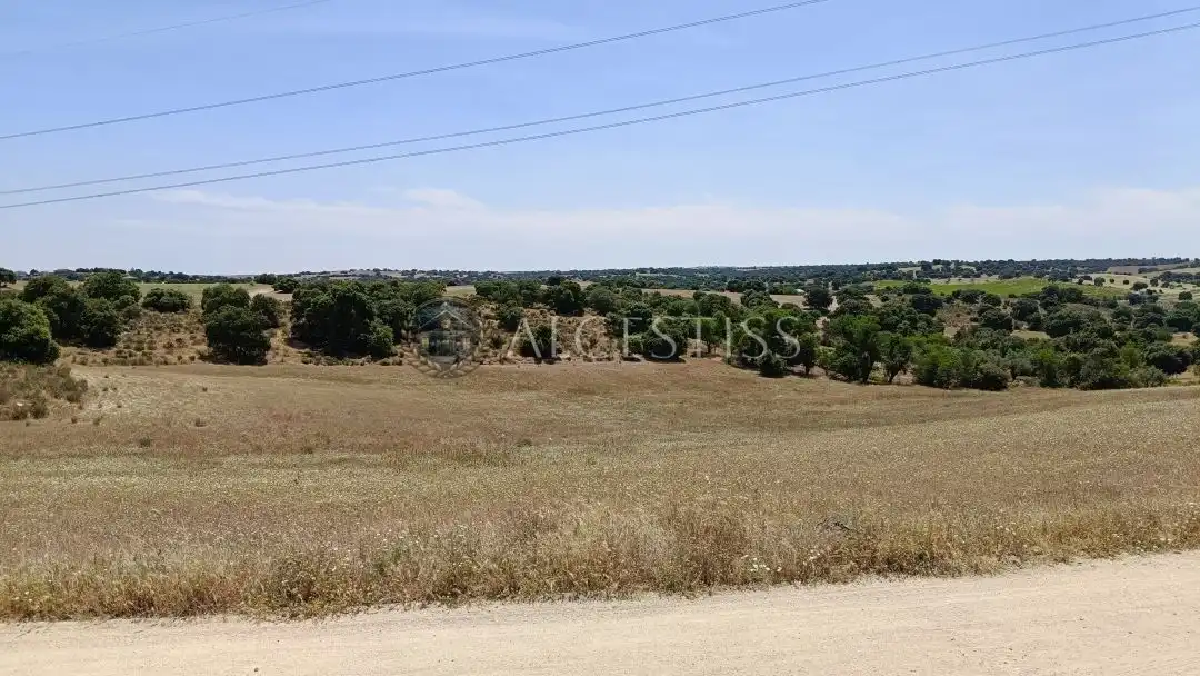 Land for sale in Méntrida