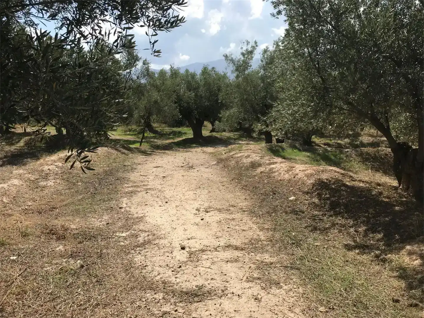 Finca rústica en venda en Fiñana