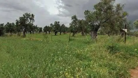 Terreni e lotti in vendita a Pr El Urraco, imagen 14