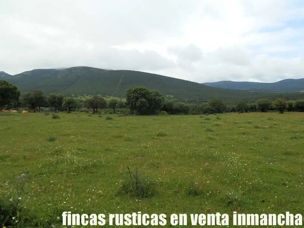 Terreno rústico en venta en Abenójar, imagen 10