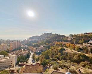 Vista exterior de Casa o xalet en venda en Málaga Capital amb Aire condicionat, Jardí privat i Parquet