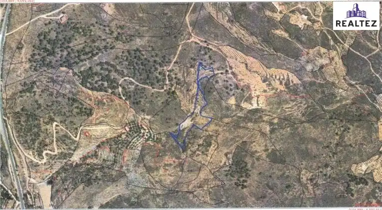 Terrain rustique à vendre à Alcolea, imagen 2