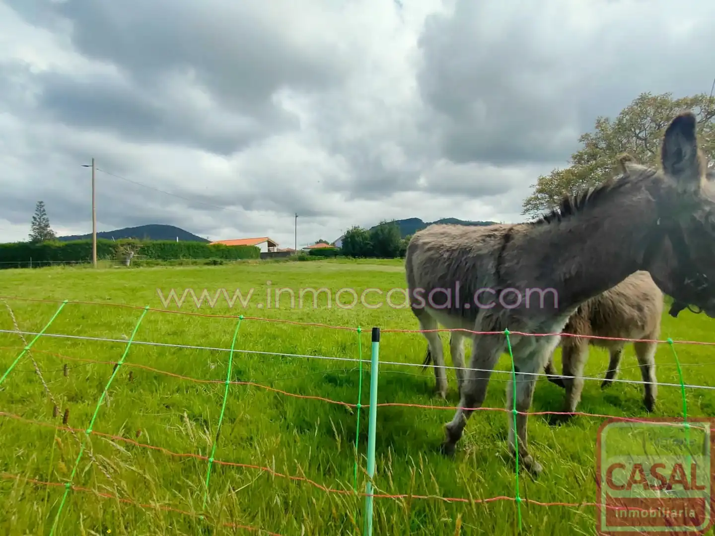 Terrenos y solares en venta en Cudillero, imagen 20