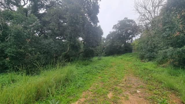 Terreno residencial en Venta en San José - San Bernardo