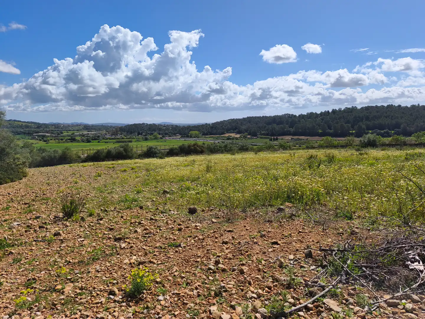 Terrain rustique à vendre à Carrer del Consistori 2, imagen 2
