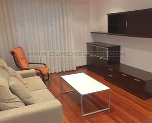 Living room of Flat to rent in Ourense Capital   with Furnished