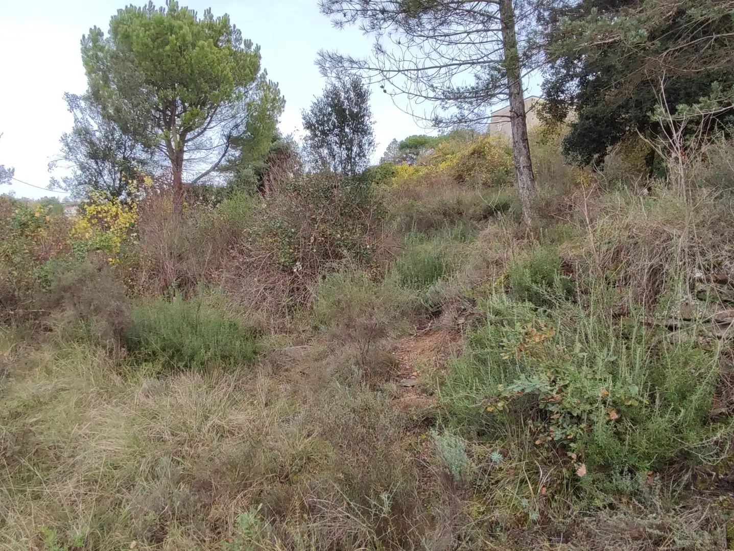 Terrain rustique à vendre à Monistrol de Calders, imagen 44