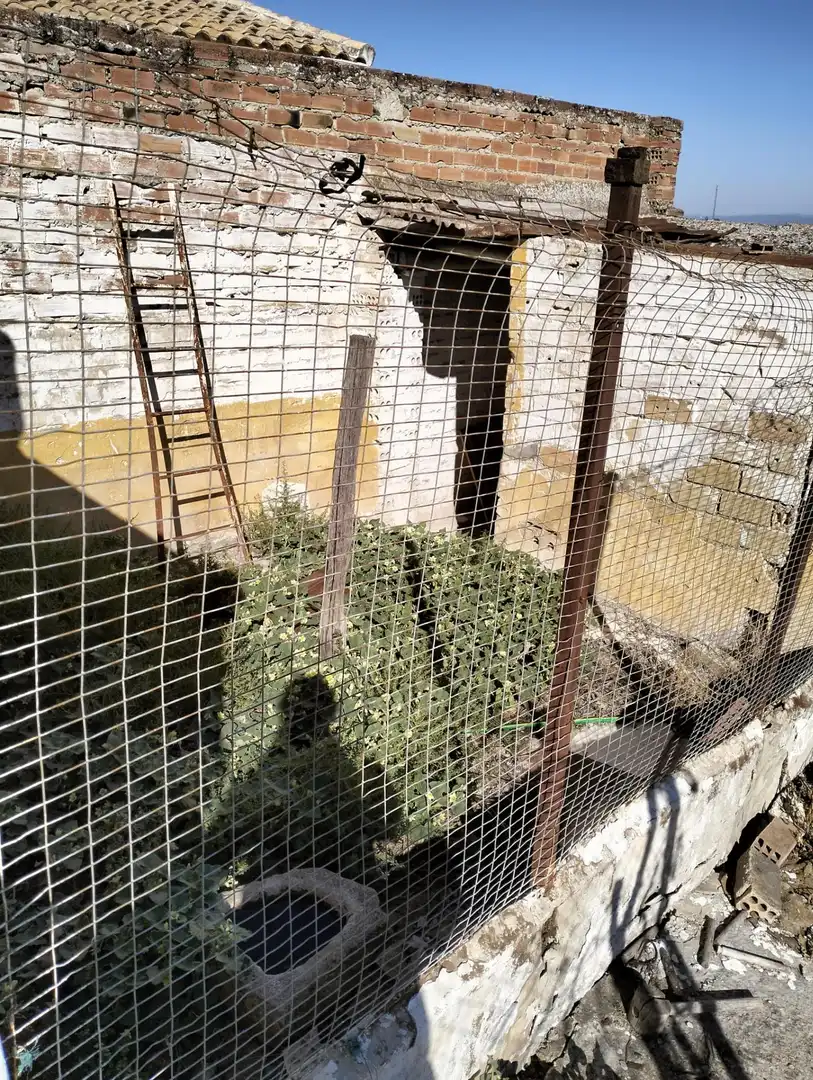 Jardí de Casa o xalet en venda en Montemayor