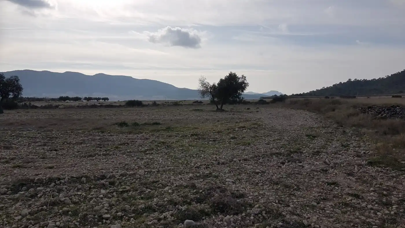 Finca rústica en venda en Salinas