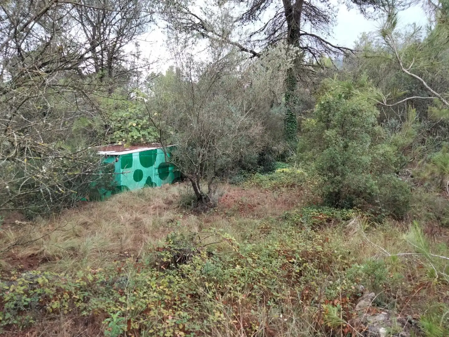 Rural land for sale in Vilallonga / Villalonga, imagen 8