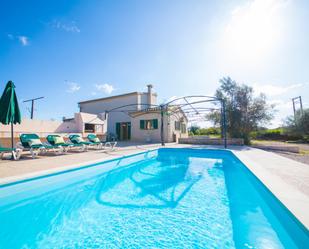 Swimming pool of Country house to rent in Algaida  with Terrace and Swimming Pool