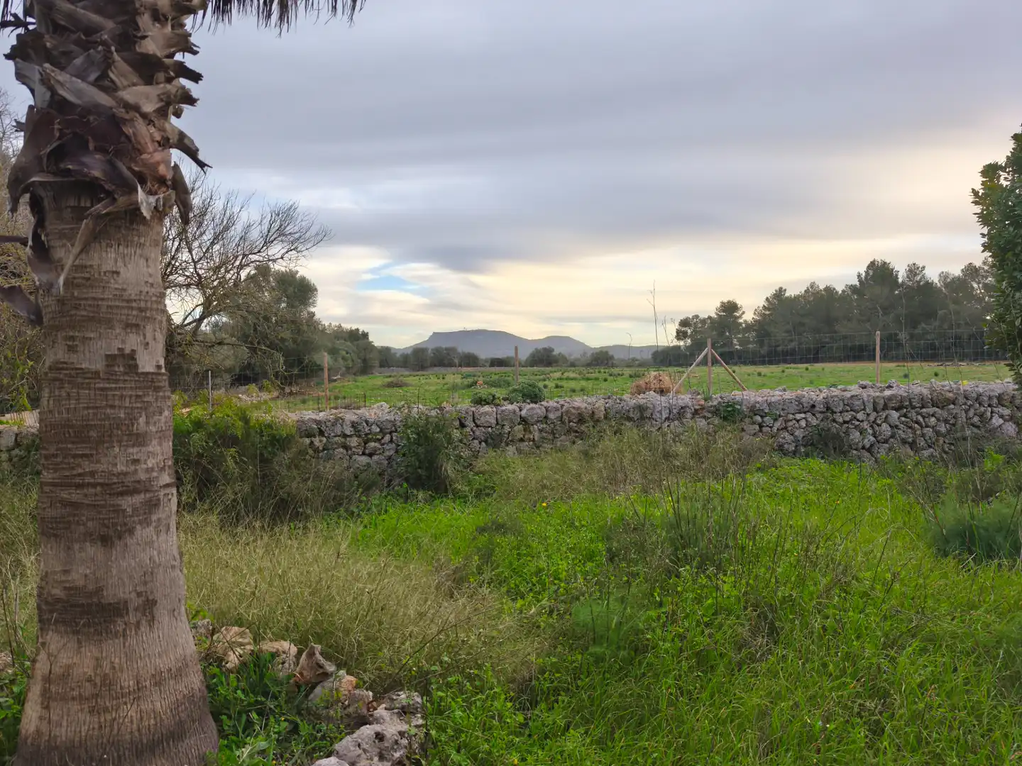 House with garden for sale in Algaida, imagen 22