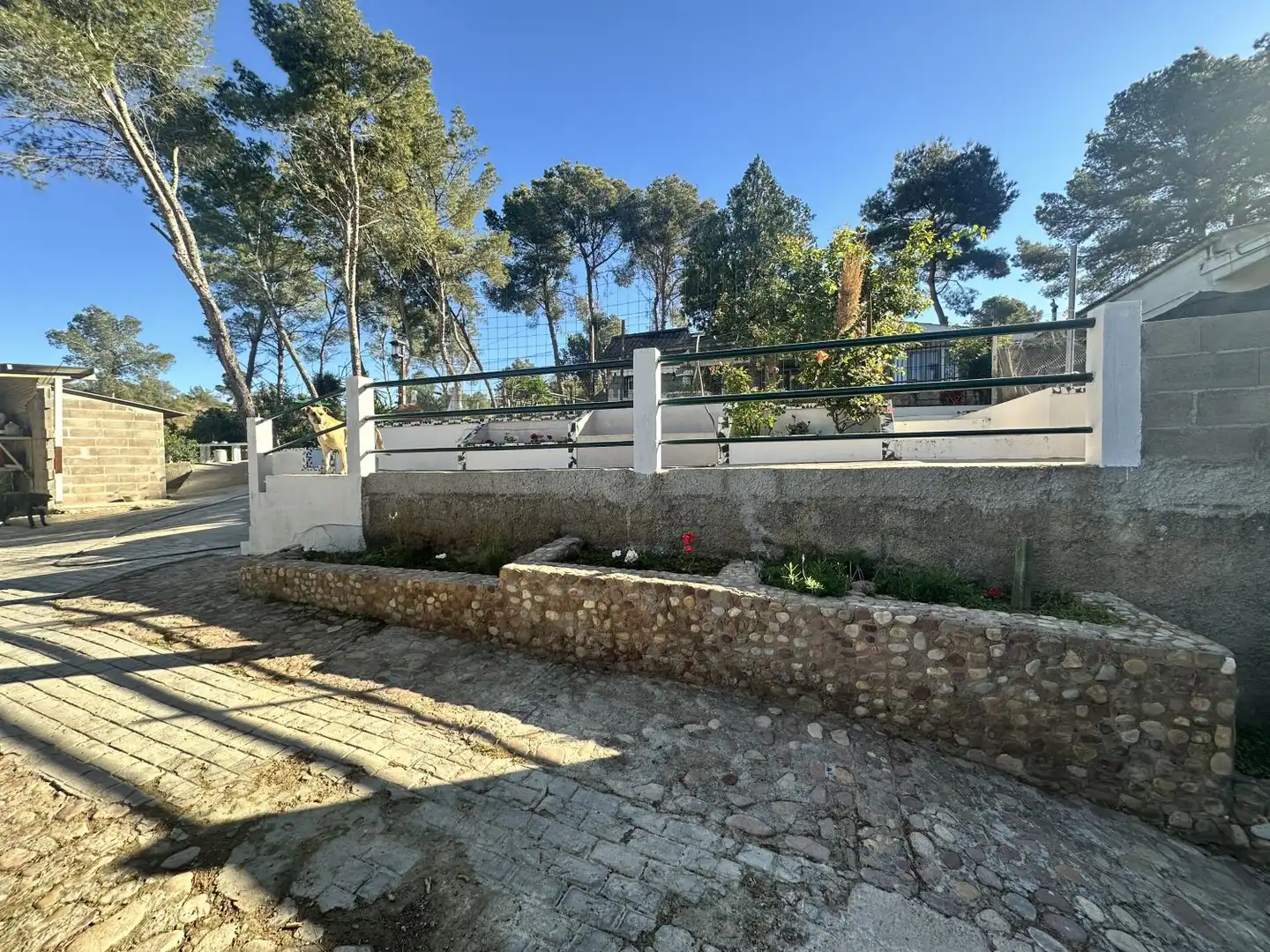 Exterior view of Houses for sale in Alfara de la Baronia  with Heating, Private garden and Terrace