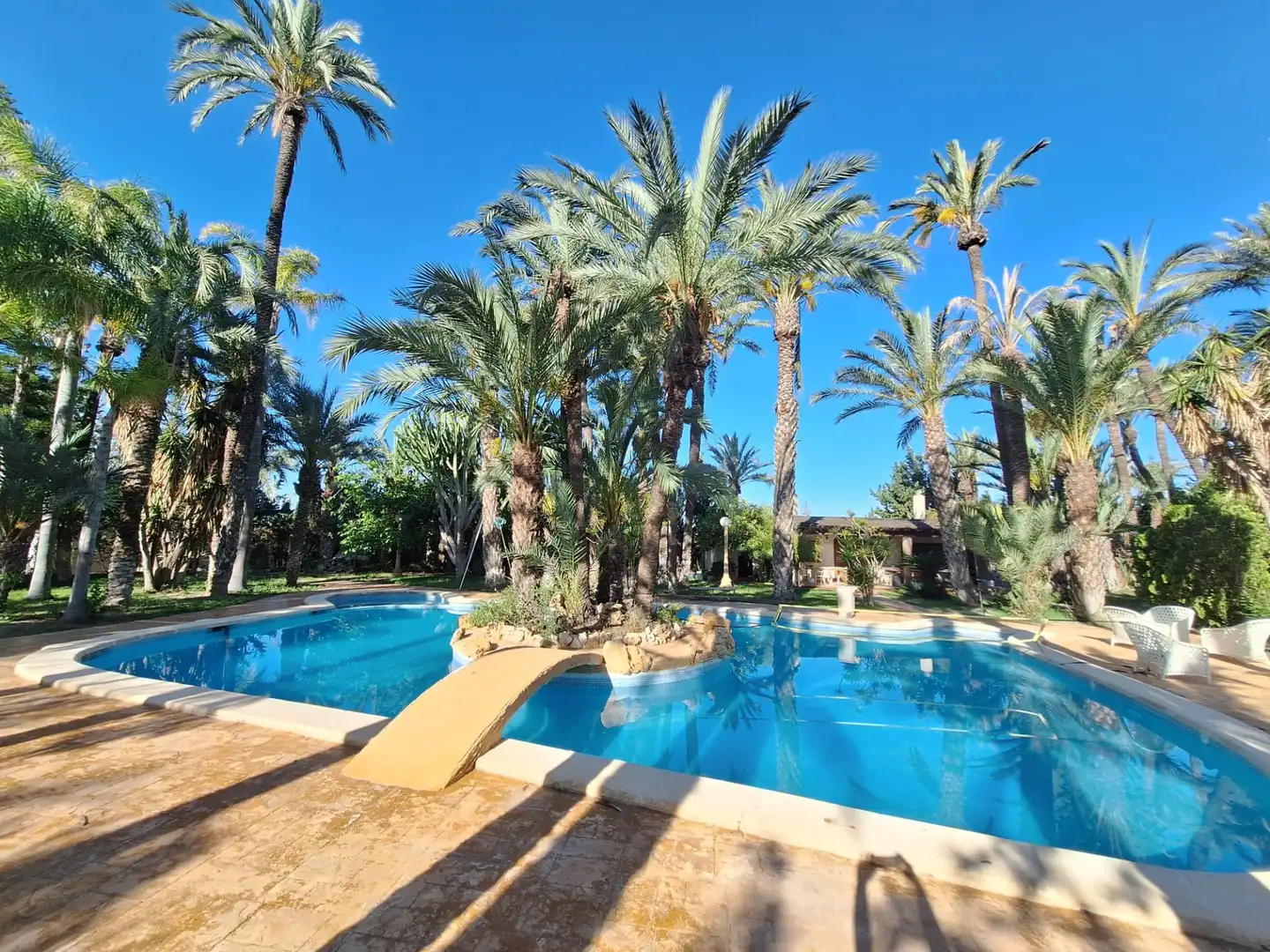 Piscina de Casa o chalet en venta en Elche / Elx