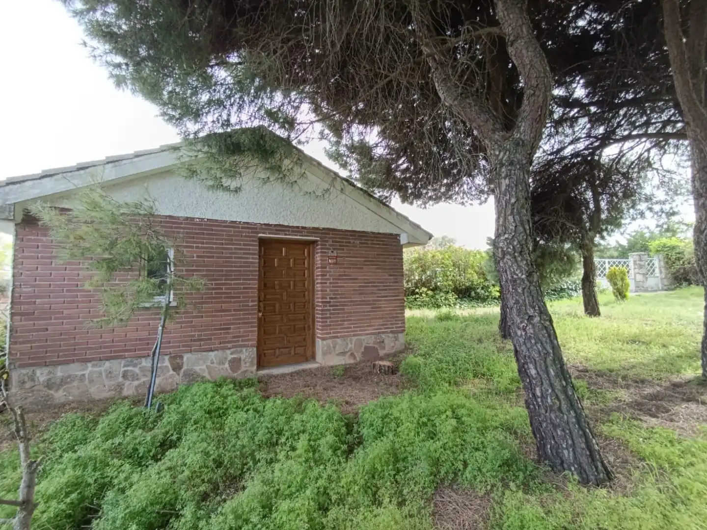 Vista exterior de Casa o chalet en venta en Pedrezuela con Calefacción, Jardín privado y Terraza