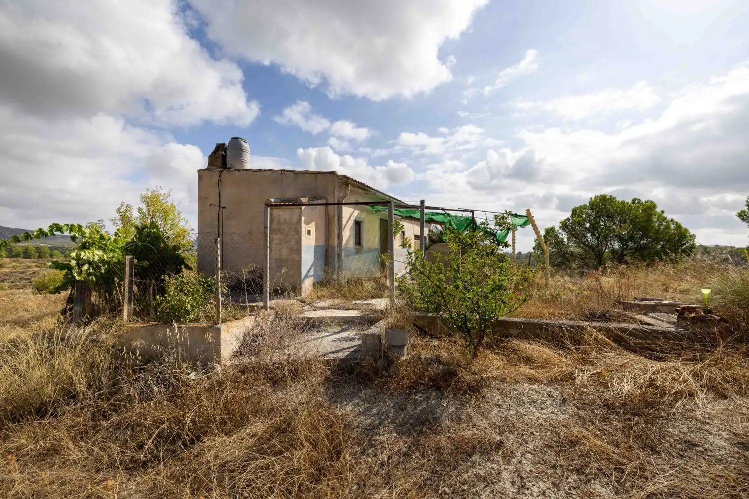 Finca rústica en venta en Mula