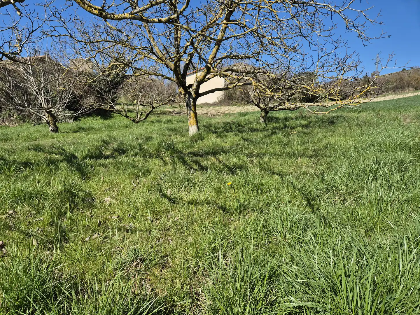 Residential land for sale in Calle San Juan 34, imagen 14