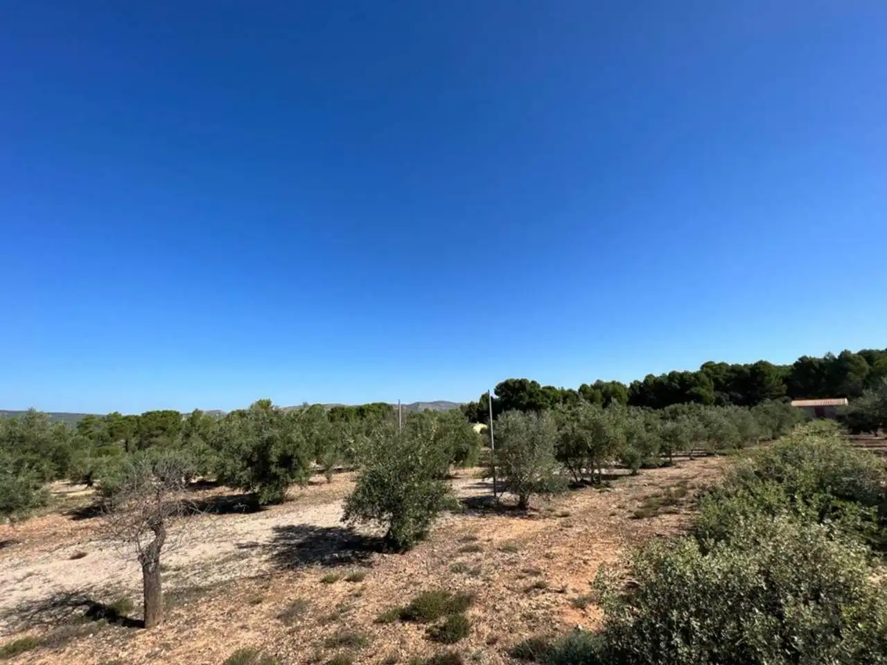 Chalet en venta en Banyeres de Mariola, imagen 52