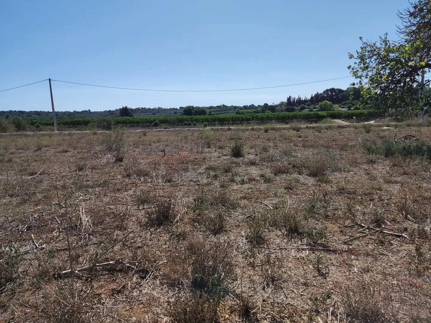 Rural land for sale in Carretera d'Amposta, imagen 24
