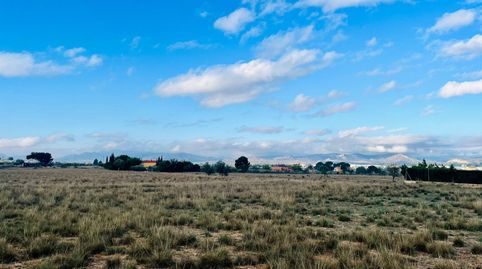 UNA GRAN PARCELA RÚTICA A UN PASO DE VILLENA, imatge 4