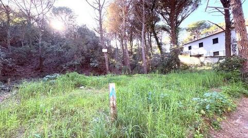 Foto 5 de Terreny industrial en venda a Mas Pere - Río de Oro, Girona