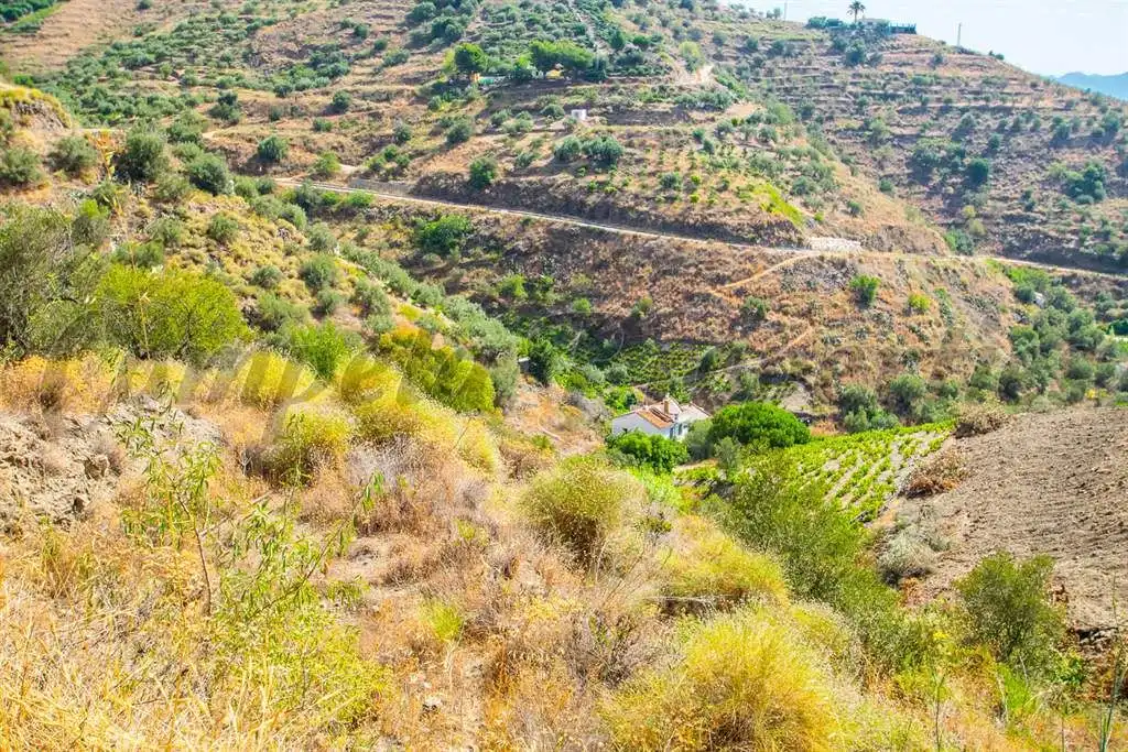 Rustikales Grundstück zum Verkauf in Torrox Pueblo, imagen 4