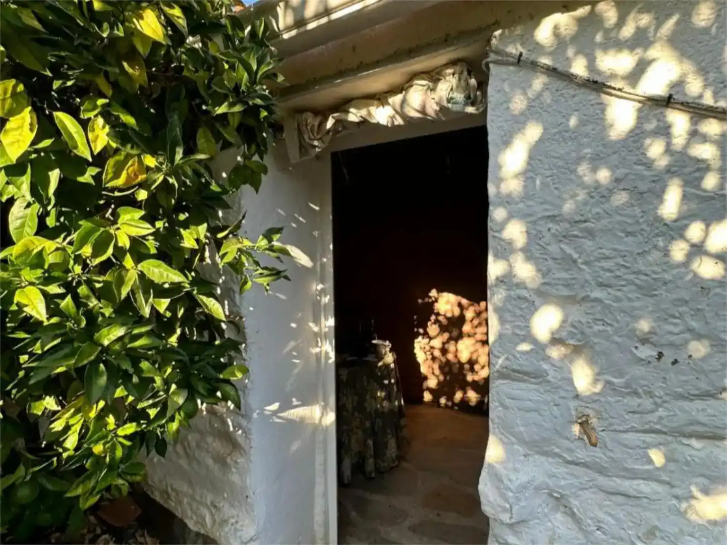 Planta baja en venta en Los Navalucillos