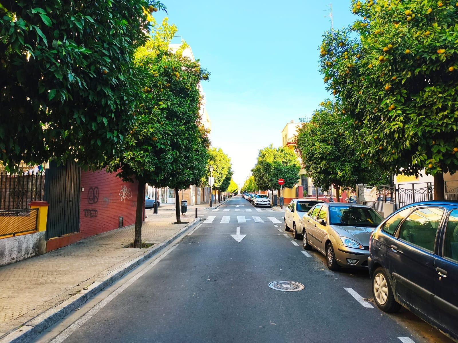 Pis en venda a  PADRE PEDRO AYALA, Barrio del Nervión, Nervión