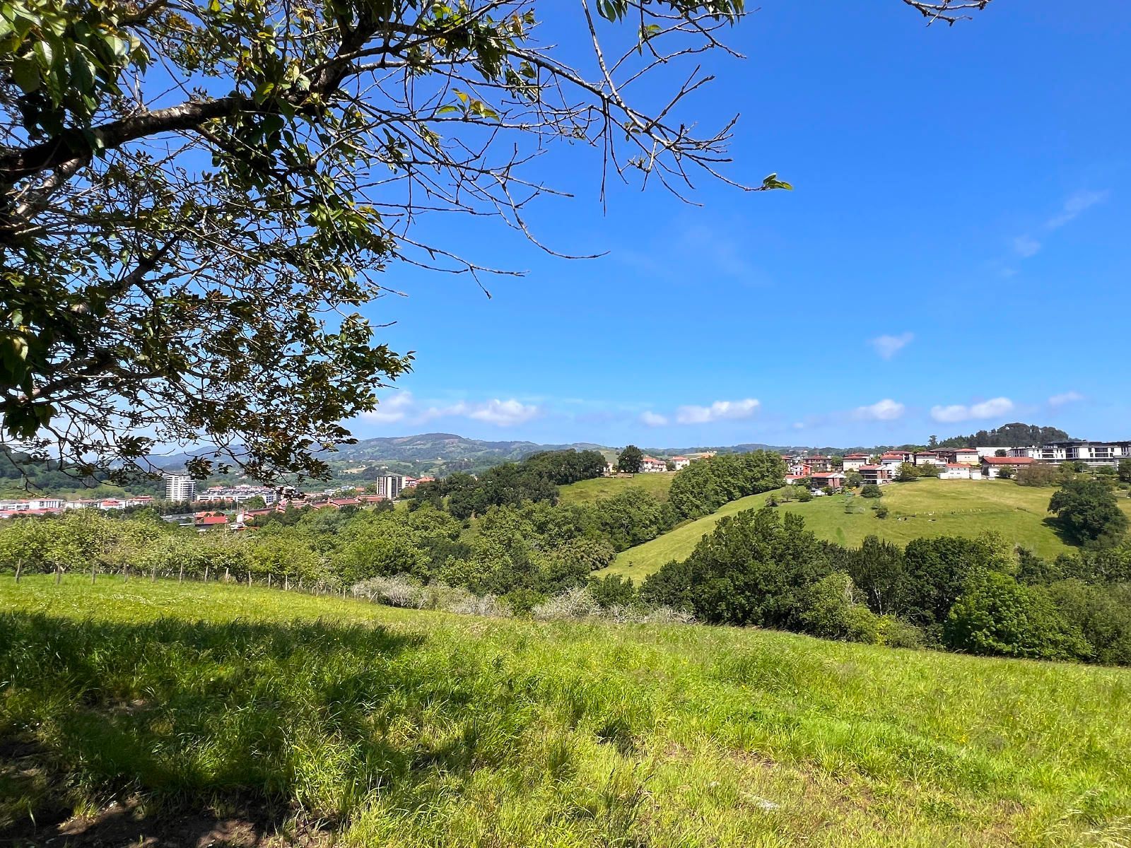Exterior view of House or chalet for sale in Lasarte-Oria  with Heating and Terrace