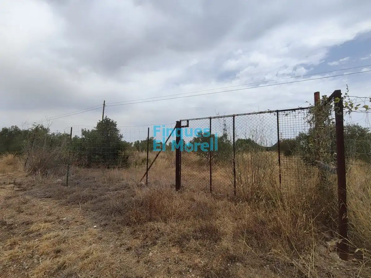 Finca rústica en venda en Constantí
