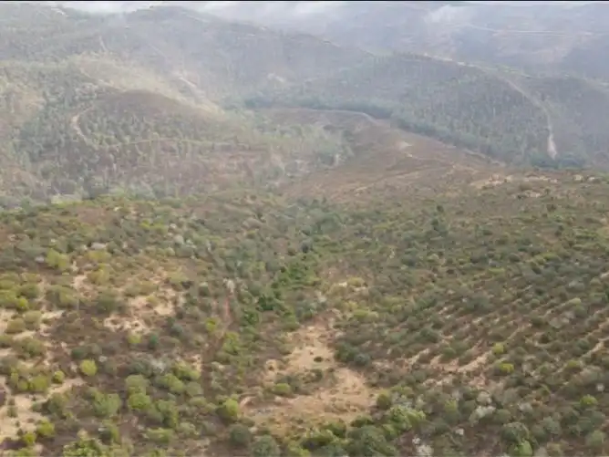 Terreno en venta en Zalamea la Real