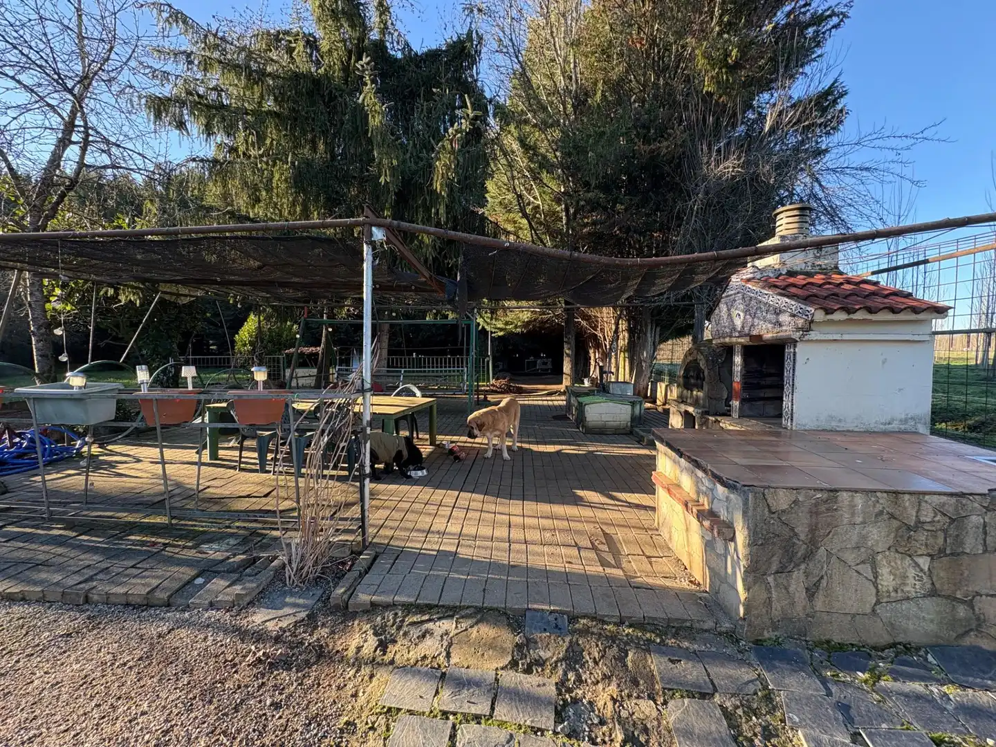 Finca rústica en venda en Cabañas Raras