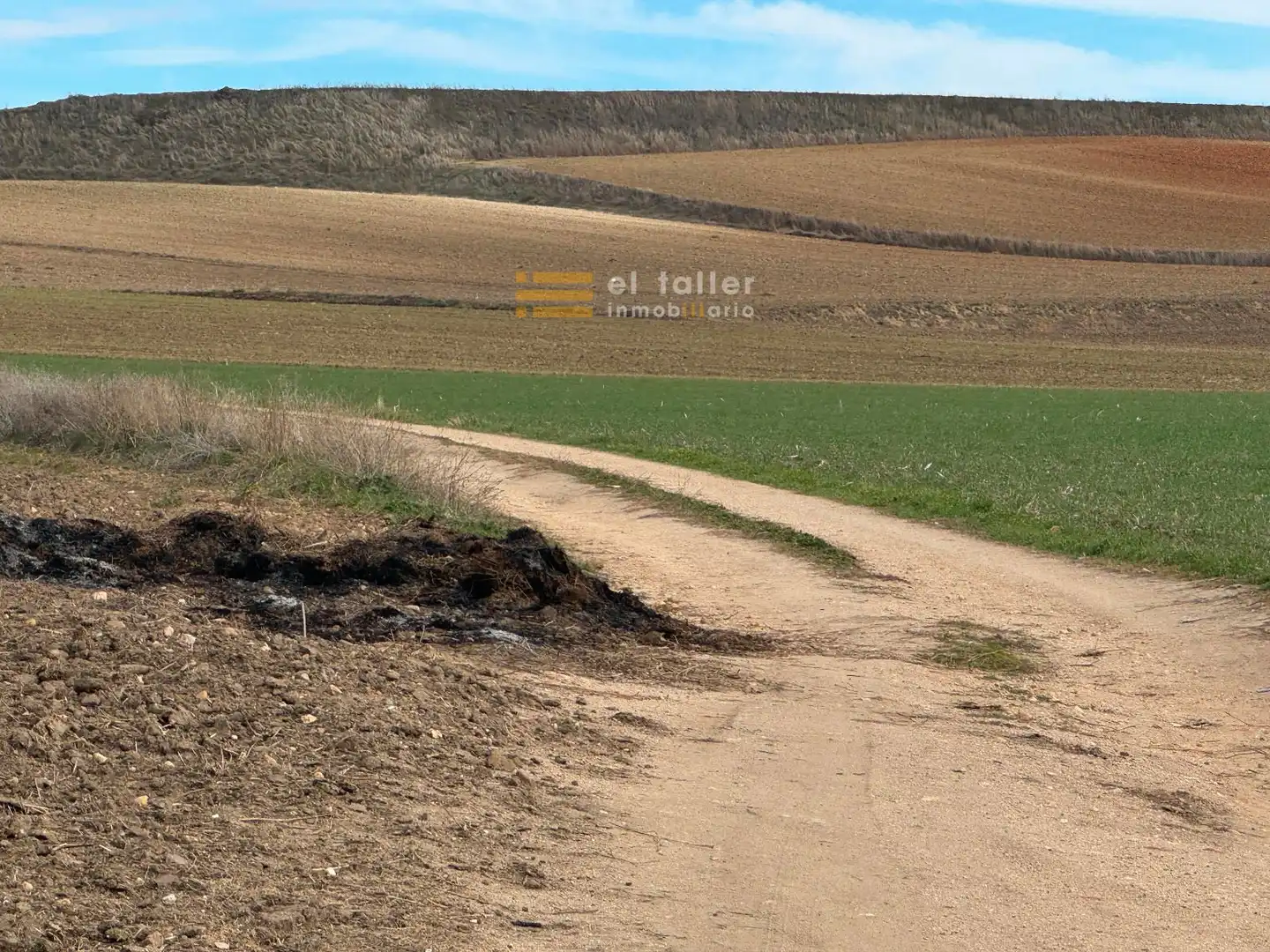 Terreny rústic en venda a Sector Las Peñiscas, imagen 6