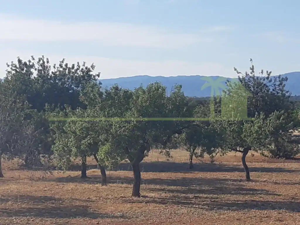 Terreno residencial en venta en Pueblo, imagen 10