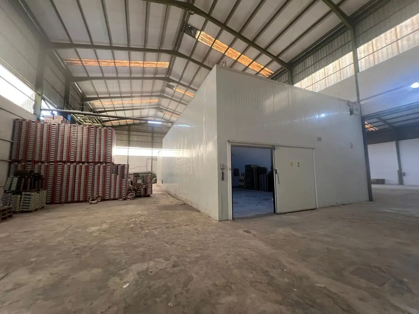 Fabrikhallen zur Miete in Elche / Elx