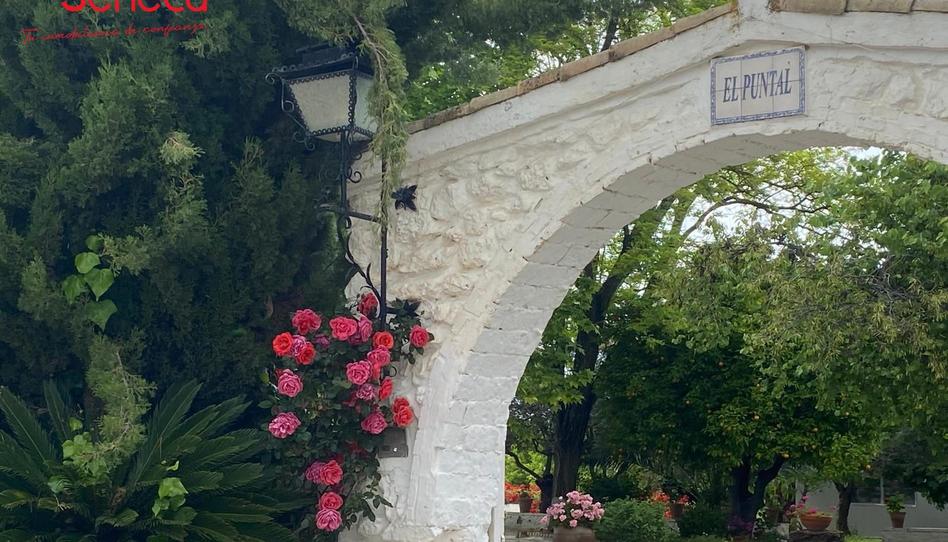 Foto 1 de Casa o xalet en venda a Castro del Río, Córdoba