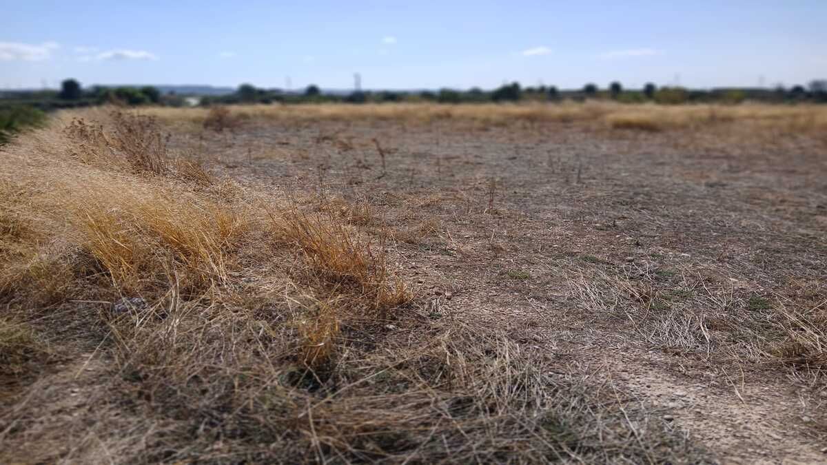 Residential for sale in Juneda