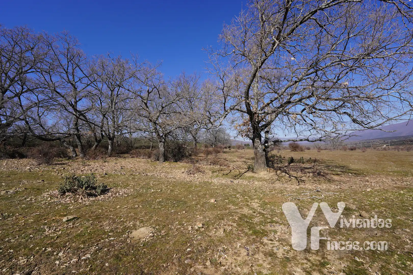 Terreno rústico en venta en Campillo de Ranas, imagen 21