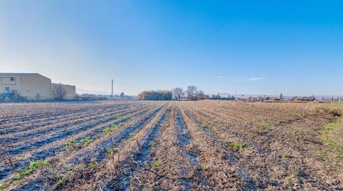 Magnífica finca de regadío en la Vega de Granada, con acceso directo., imatge 5