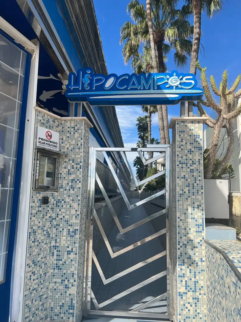 Ático con piscina en venta en Carrer Llevant, imagen 14