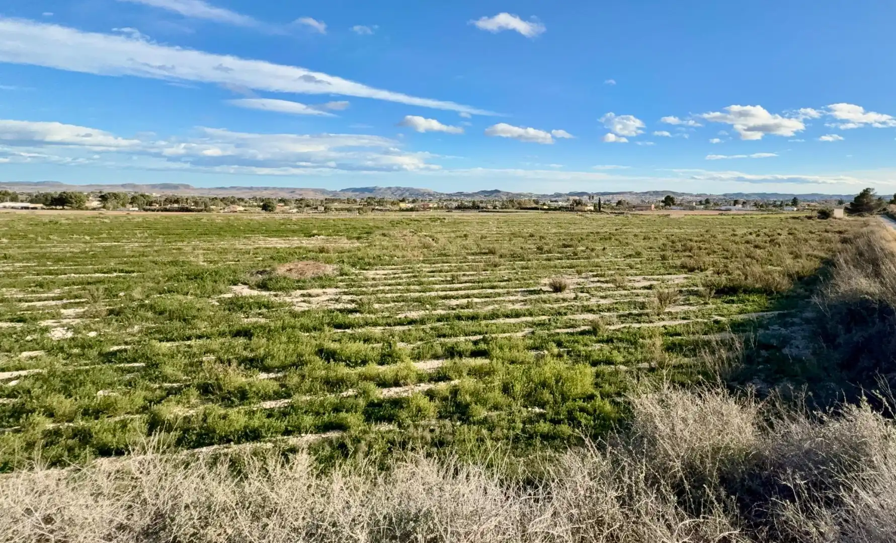Rural land for sale in Novelda, imagen 3