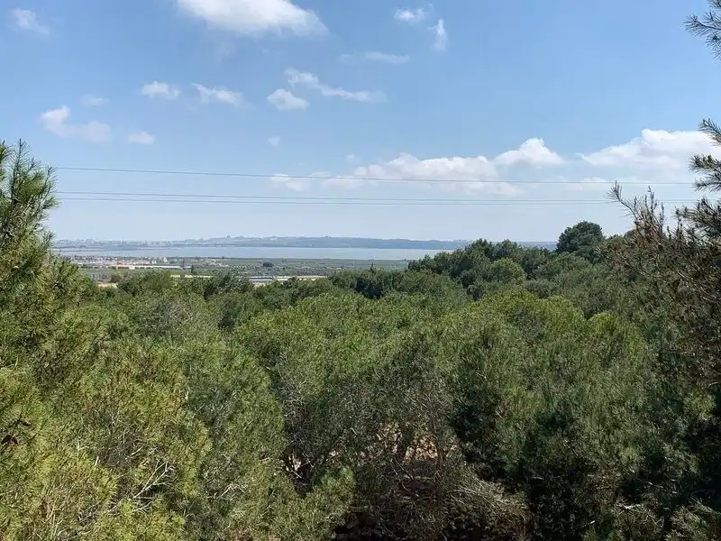 Casa o chalet en venta en Avenida , El Raso
