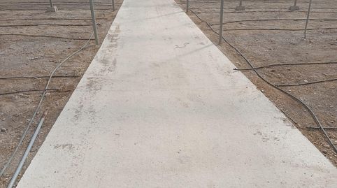 INVERNADERO EN LA MOJONERA, ALMERIA, imatge 3