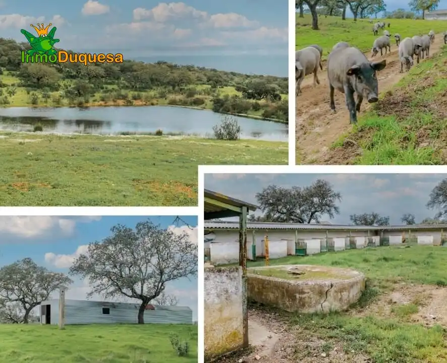 Country house for sale in Paymogo, imagen 2