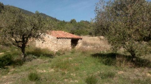 Finca en venta, immagine 3