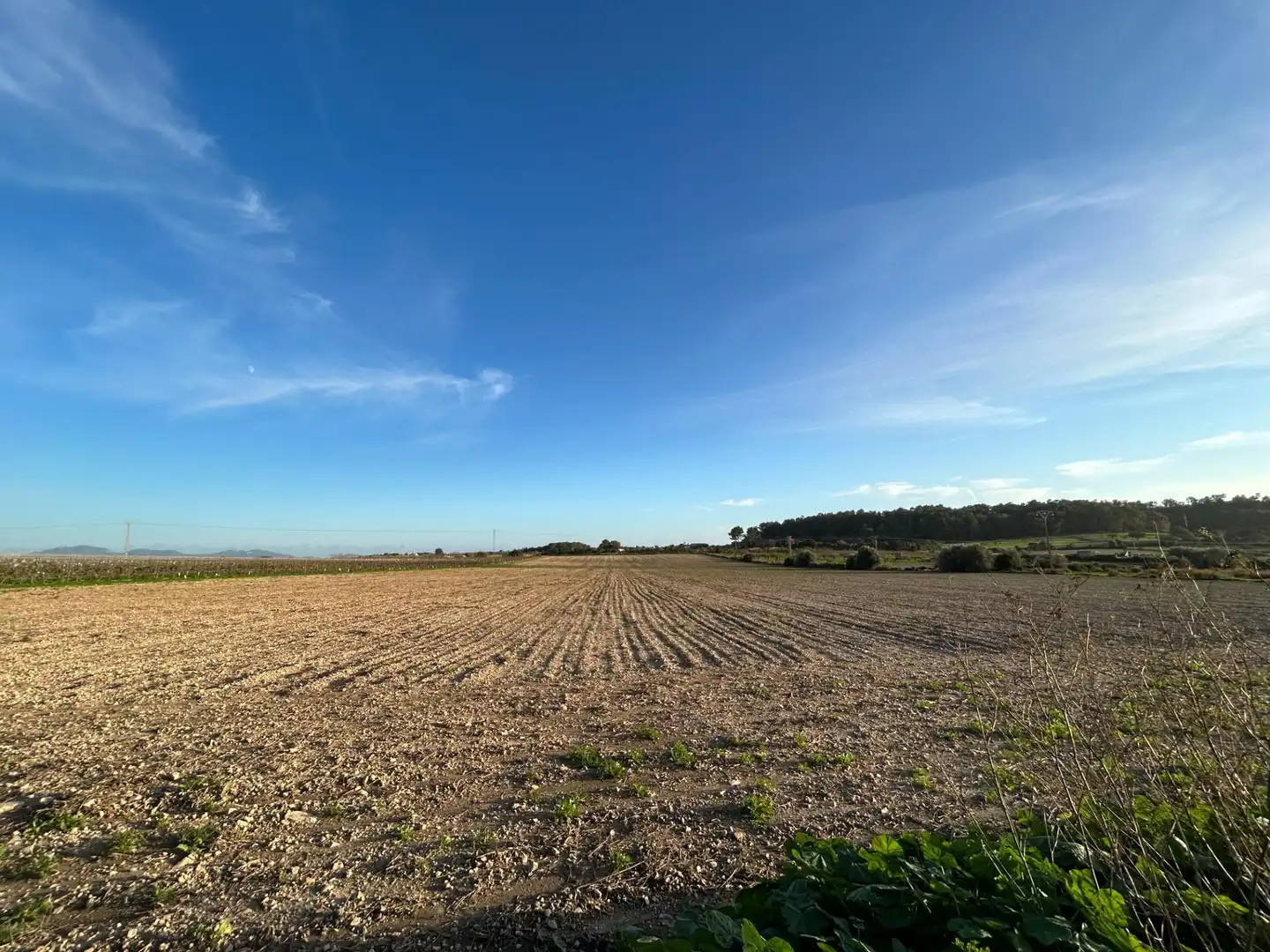 Terreny residencial en venda a Porreres, imagen 5