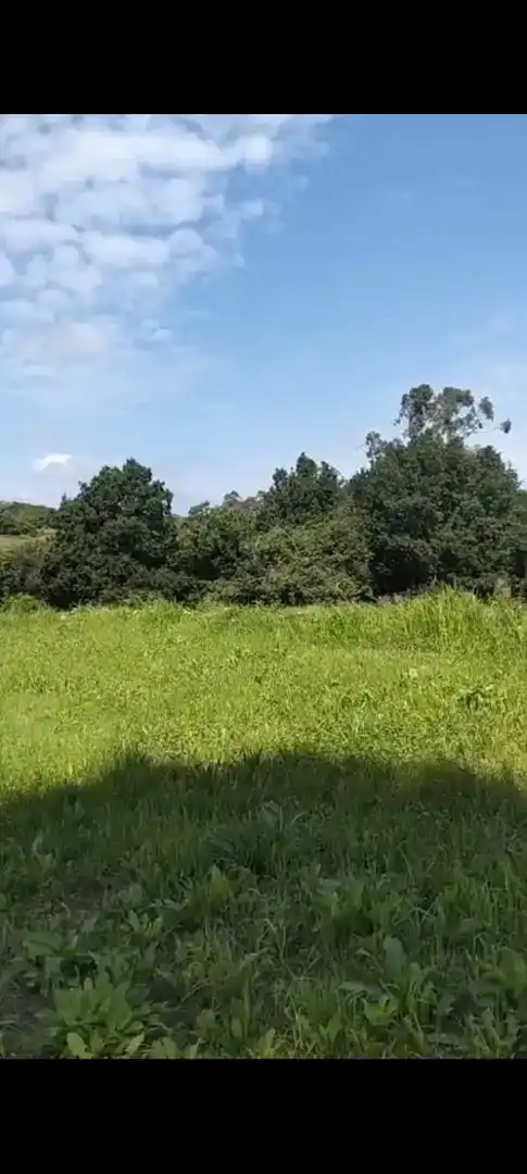 Finca rústica en venta en Valdáliga