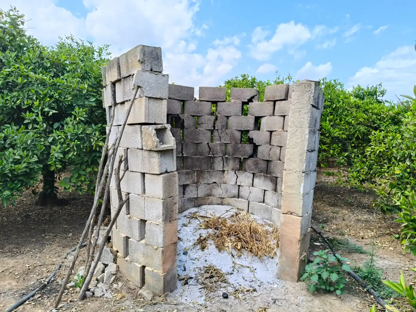 Rural land for sale in Partida Pla 42, imagen 15