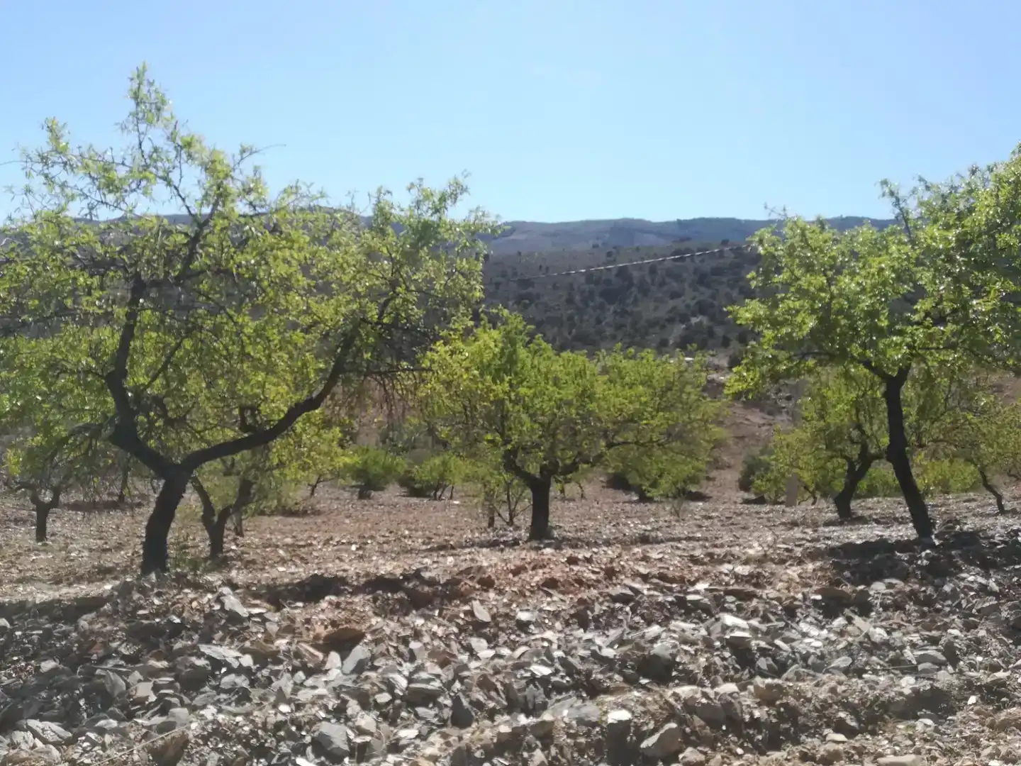 Terreno en venta en Tahal